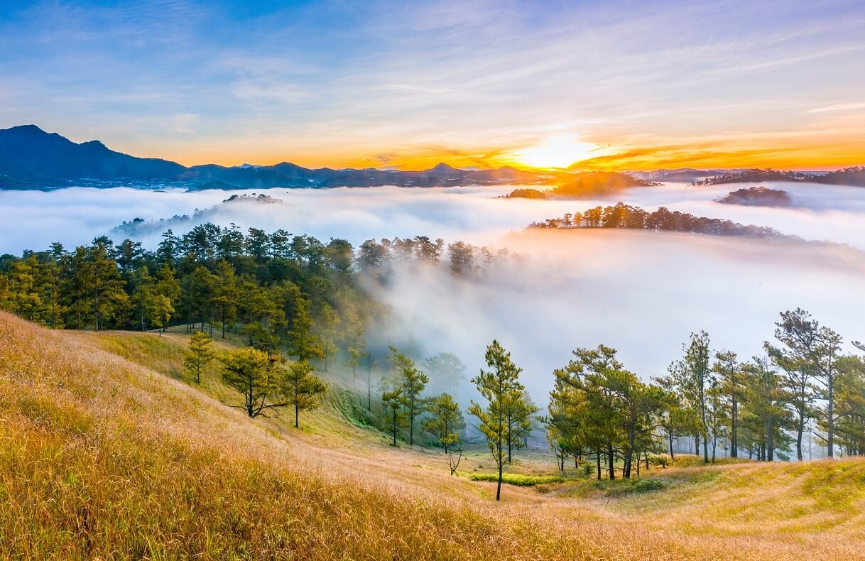 Thung Lũng Vàng Đà Lạt